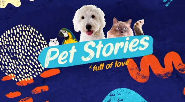 Pet Stories