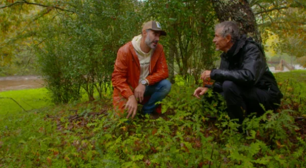 El señor de los bosques