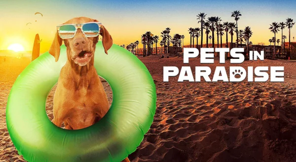Pets in Paradise