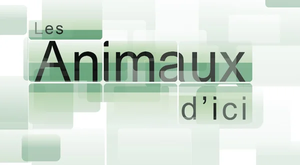 Animaux d'ici *2025