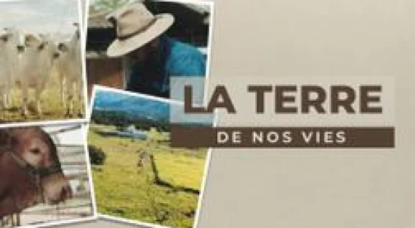 La terre de nos vies