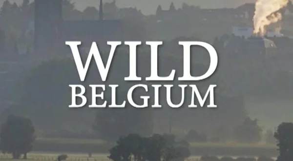 Divlja Belgija