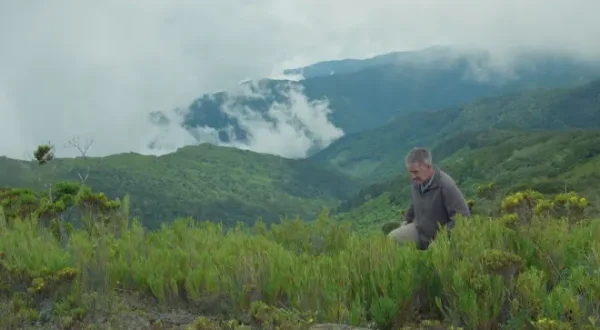 Nigel Marven's Wild Central America