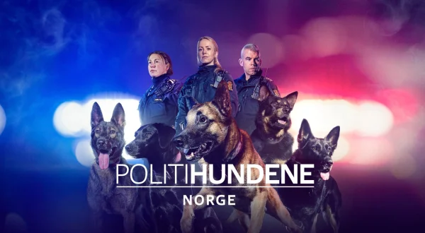 Police Dogs
