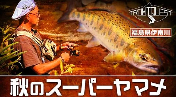 TROUT QUEST 36 伊南川スーパーヤマメ