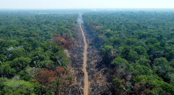The Amazon Divide