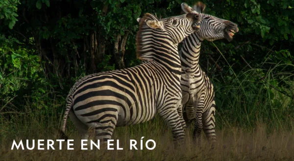 Muerte en el río