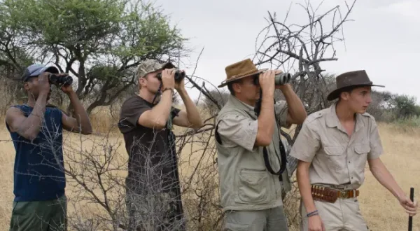 Safari