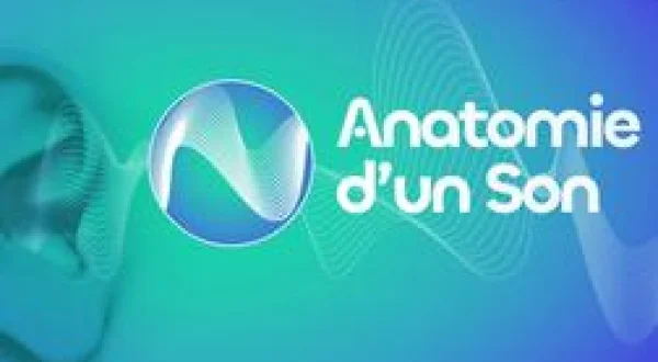 Anatomie d'un son
