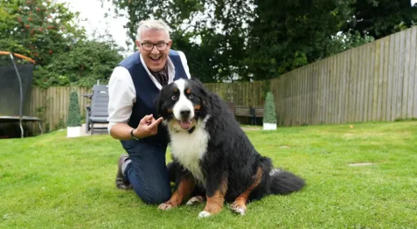 Dogs Behaving (Very) Badly