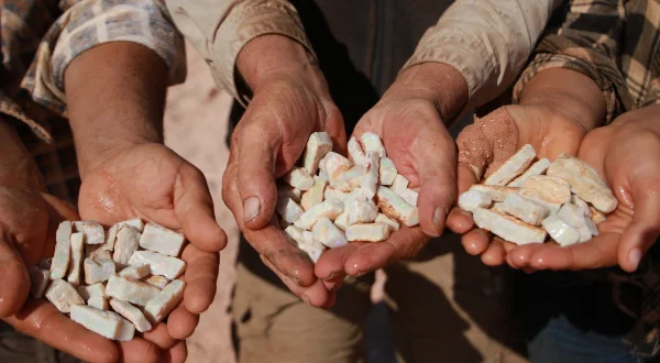 Outback Opal Hunters