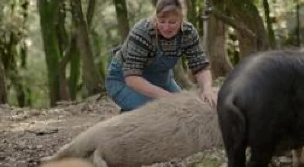 13h15, le samedi