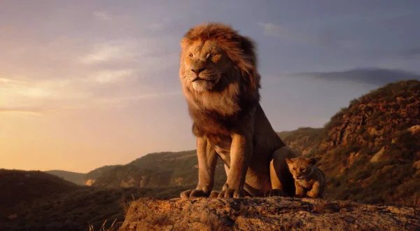 Λιοντάρι | Lion
