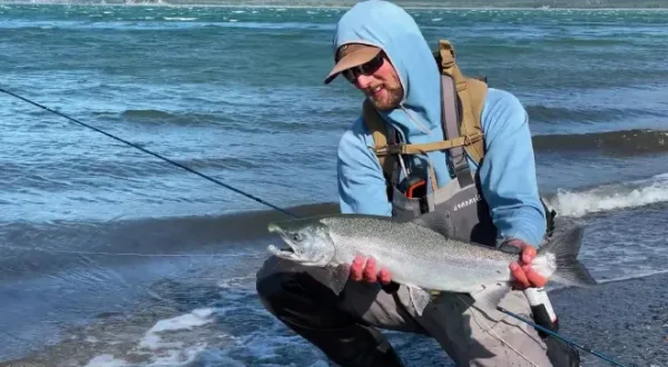 Tracker Diaries - Die Bären von Alaska