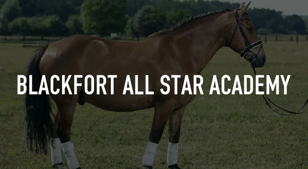 Blackfort All Star Academy