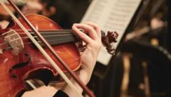 Violin Concerto in D major "Grosso Mogul" | Allegro