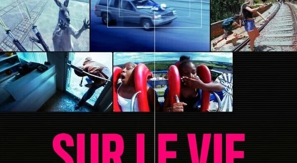 Sur le vif : vidéos insolites