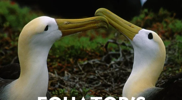 Equator's Wild Secrets