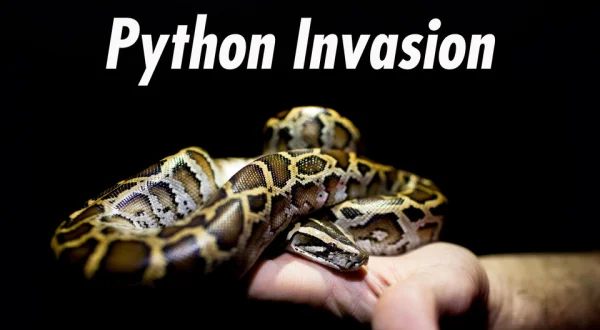 Python Invasion