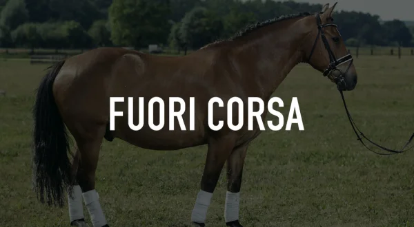 Fuori corsa