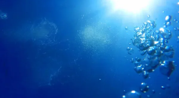 Alles über UV-aktive Gummifische