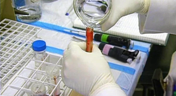 Medical Detectives – Geheimnisse der Gerichtsmedizin