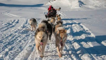 Alaskan Bush People