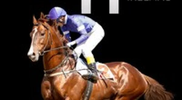 Irish Racing Replay