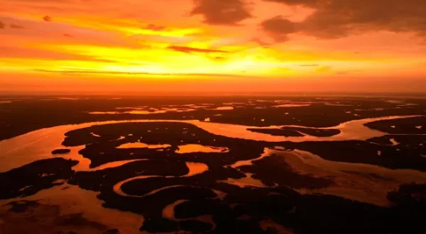 Blue Carbon : le super-pouvoir de la nature