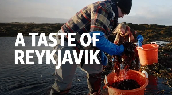 A Taste of Reykjavik