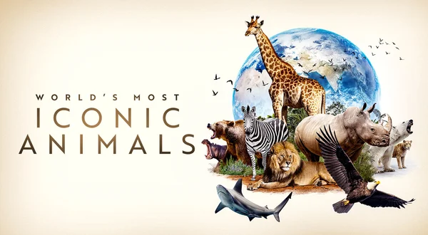 World's Most Iconic Animals
