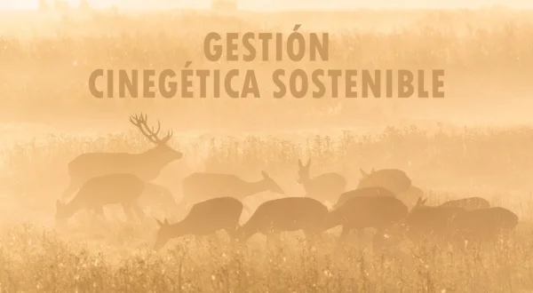 Gestion Cinegetica Sostenible