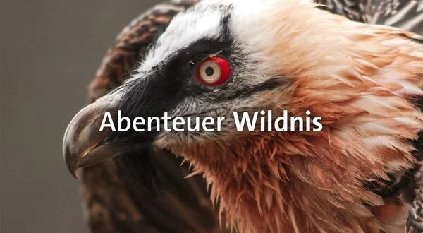 Abenteuer Wildnis