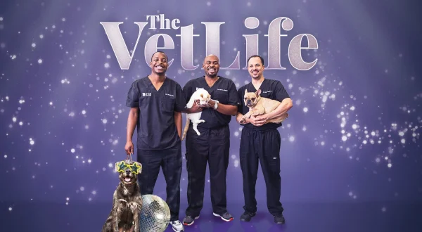 The Vet Life