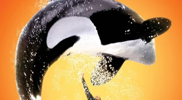 Free Willy: Un amico da salvare