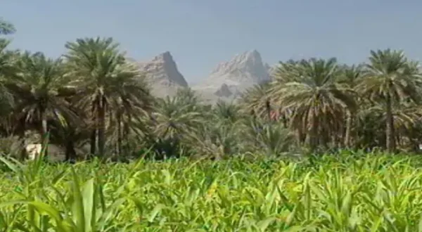 Oman la précieuse