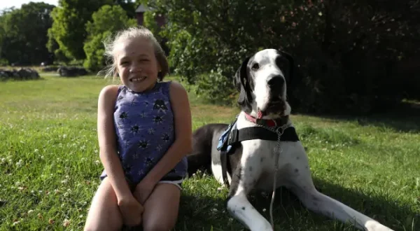 Dogs With Extraordinary Jobs