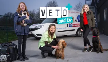 Véto & Co