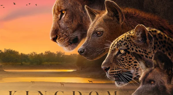Kingdom