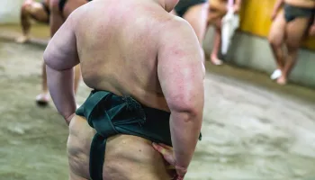 Grand Sumo Tournament Highlights