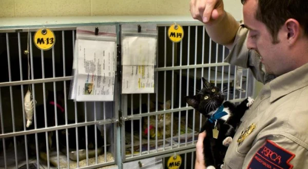 Veterinární policie Filadelfie - Štvanice