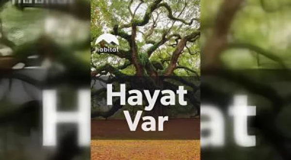 Hayat Var