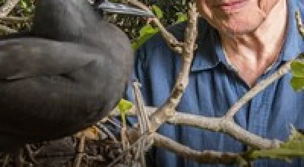 David Attenborough's Global Adventure: Home Planet