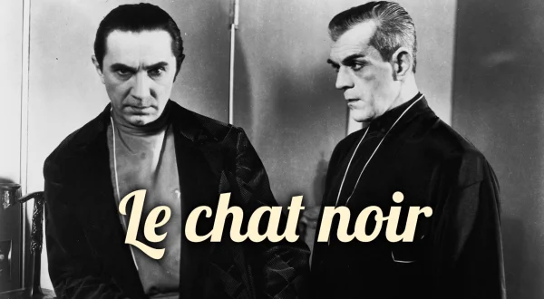 Le chat noir
