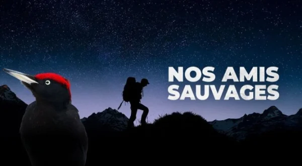 Nos amis sauvages