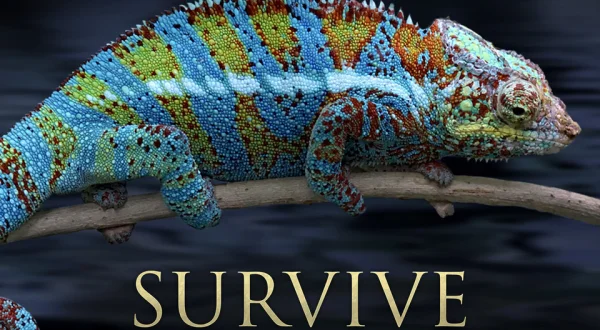 Survive the Wild