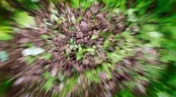 Fight To Survive S2 EP4 - Tree Stand Night - SEG4