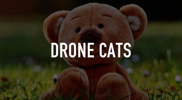 Drone Cats