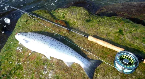 Fliegenfischen auf Bornholm - Short2