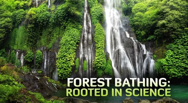 Forest Bathing: Rooted in Science